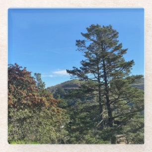 X.ITINERARIEN: Gipfel von San Francisco Glasuntersetzer