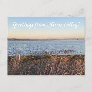 X.ITINERARIES: Grüße aus Silicon Valley! Post Postkarte