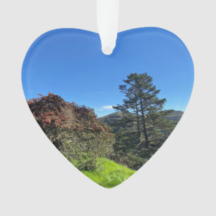 X.ITINERARIES : Les pics de SF