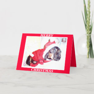 X MAS CARTES DE NOËL - PUP HEIDI - DASCHUND MINI