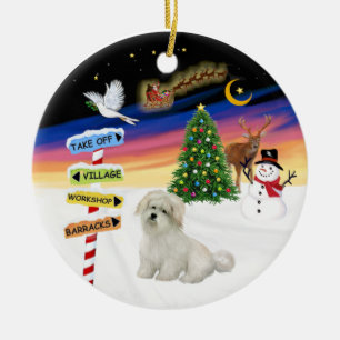 X Mas Signs - Coton de Tulear Keramikornament