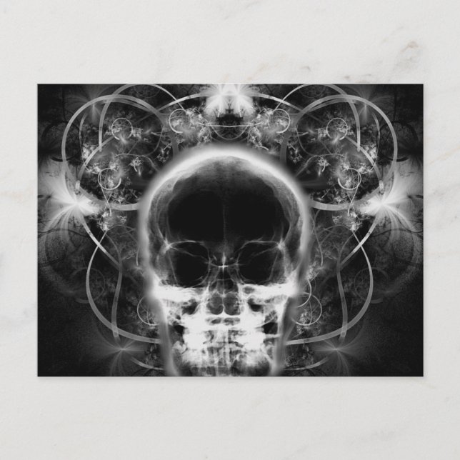 X-Ray Butterfly Fraktal Skull - B&W Postkarte (Vorderseite)