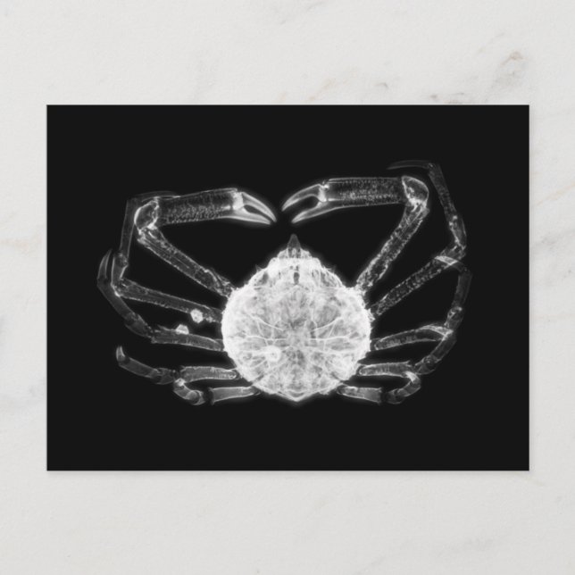 X-Ray Crab Postkarte (Vorderseite)