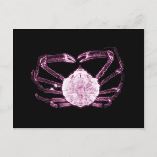 X-Ray Crab Postkarte