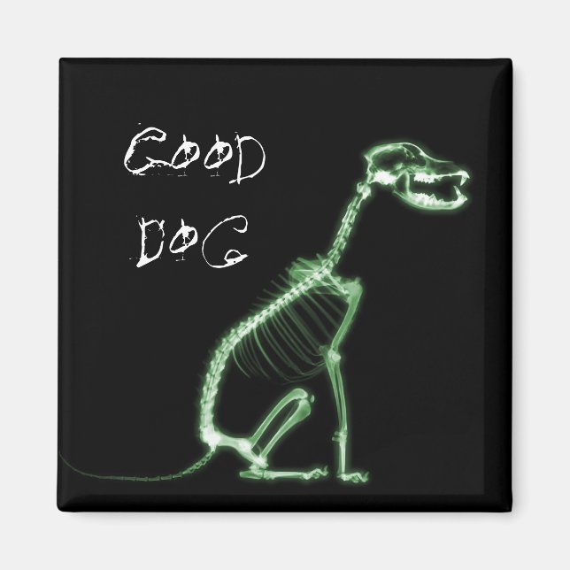 X-RAY GOOD HUND SKELETON SITZEN - GRÜNE MAGNET (Vorne)