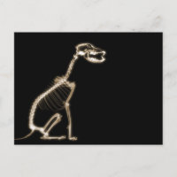 X-RAY PUPPY DOG SKELETON SITTING - SEPIA