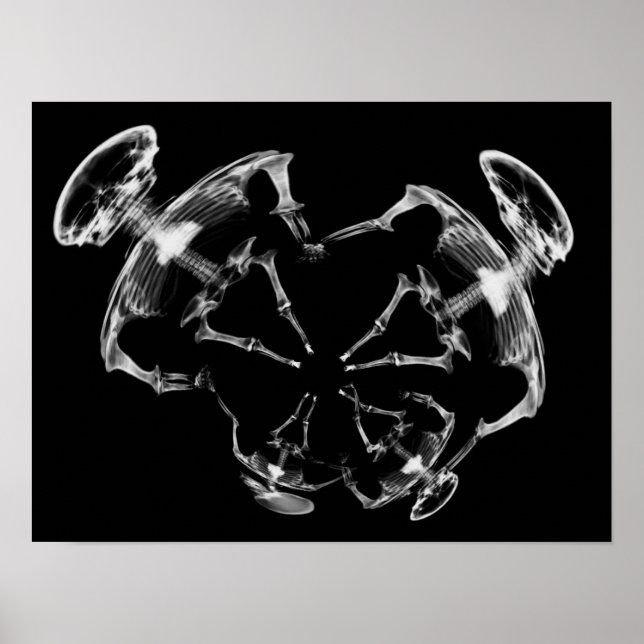 X-Ray Skeleton Family B&W Poster (Vorne)