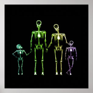 X-Ray Skeleton Family - Multicolor 1 Poster