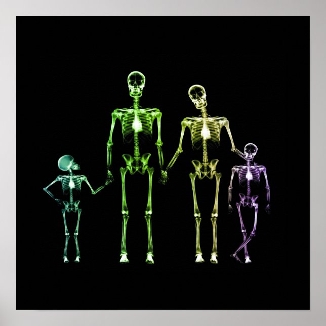 X-Ray Skeleton Family - Multicolor 1 Poster (Vorne)
