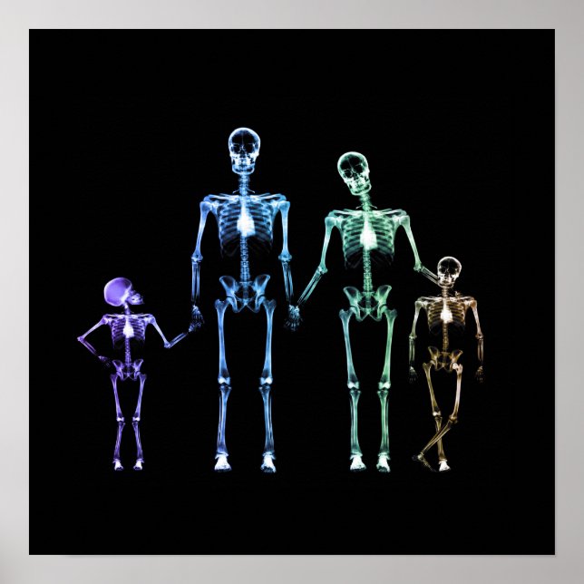X-Ray Skeleton Family - Multicolor 3 Poster (Vorne)