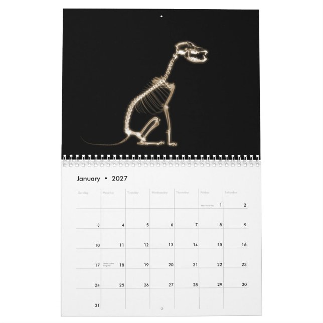 X-Ray Skeletons Midnight Stroll Black Sepia Kalender (Jan 2027)
