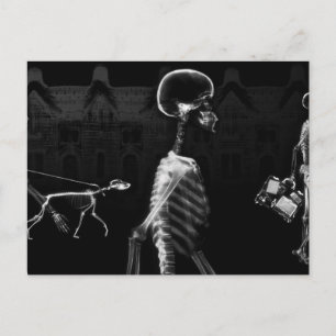 X-Ray Skeletons Mitternachtsspaziergang Schwarz-we Postkarte