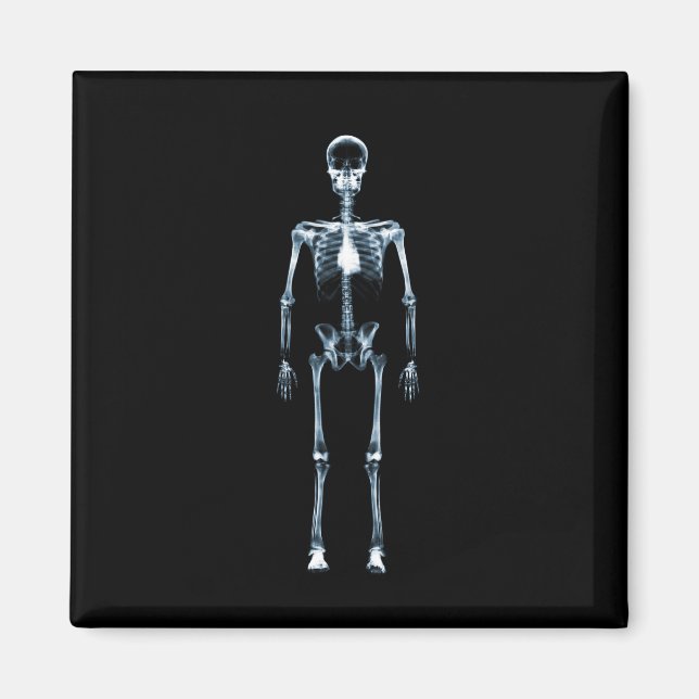 X-Ray Vision Blue Single Skeleton Magnet (Vorne)
