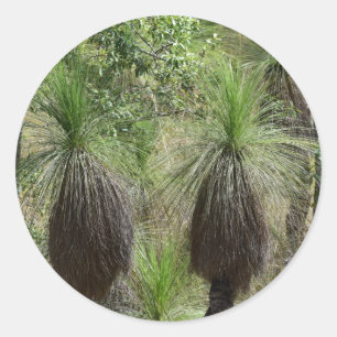 XANTHORRHOEA GRASS TREE BUSH PFLANZE AUSTRALIEN RUNDER AUFKLEBER