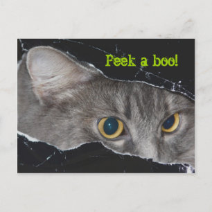Xena flüchtige Blick-a-boo Postcard - Maßgeschneid Postkarte
