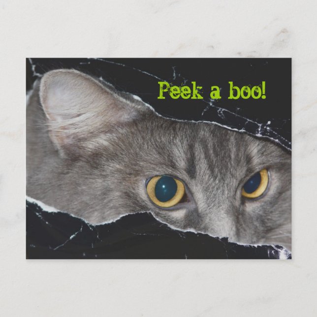 Xena flüchtige Blick-a-boo Postcard - Maßgeschneid Postkarte (Vorderseite)