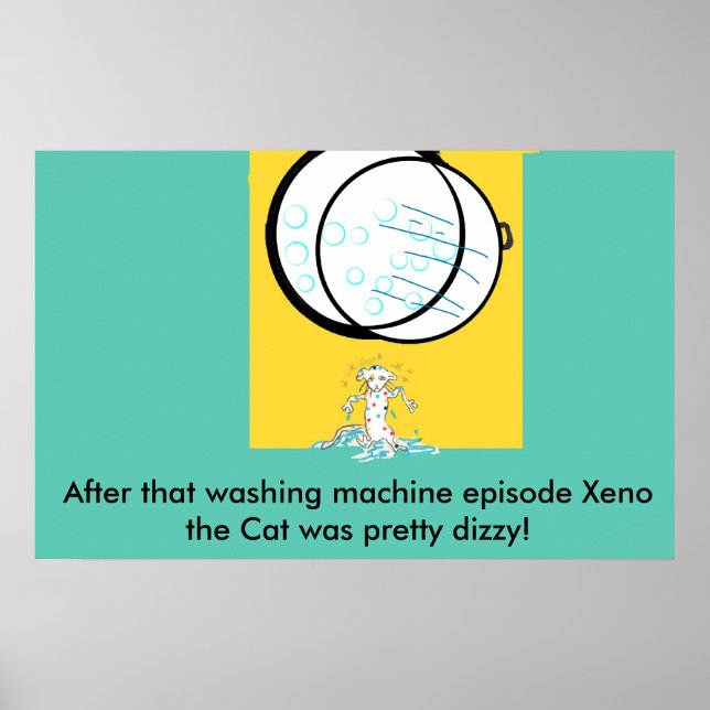 xeno pg 5041 copy, Nach dieser Waschmaschine e... Poster (Vorne)