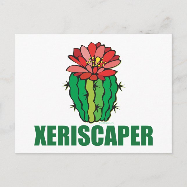 Xeriscaping Postkarte (Vorderseite)