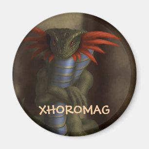 Xhoromag 17 magnet