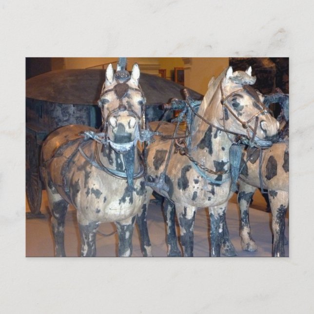 xi'an Pferde Postkarte (Vorderseite)