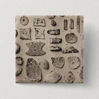 XII Muschel Ornamente, also Kalifornien