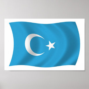 Xinjiang Uigur-Flagge Poster Druck