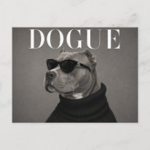 XL American Bully Luxus-Mode