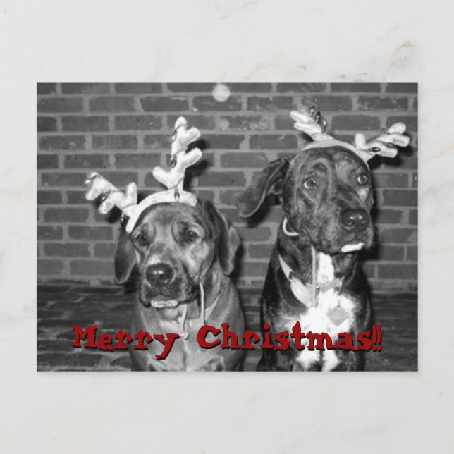 xmas carte recrop recontraster, Joyeux Noël! ! !,. (Devant)