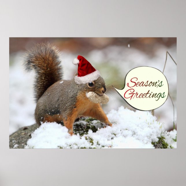 Xmas Eichhörnchen im Schnee Poster (Vorne)