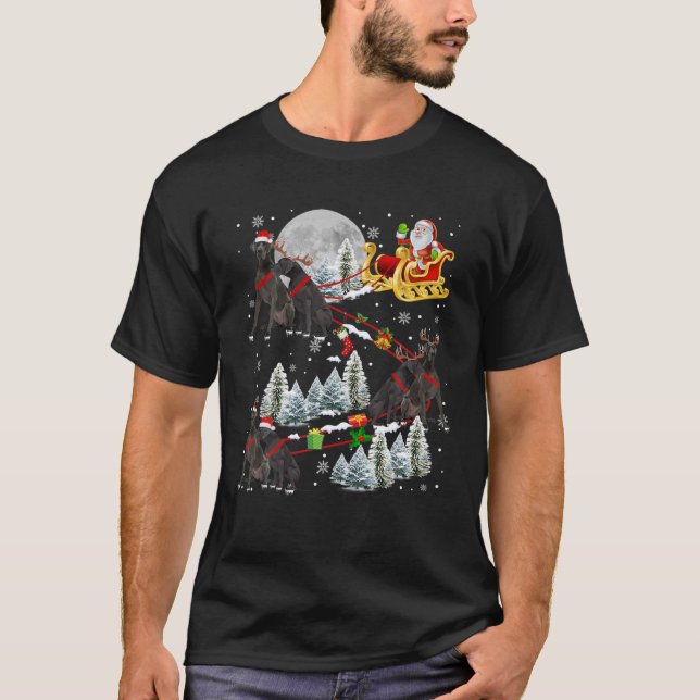 Xmas Great Dane Sledge Weihnachtssledge Santa Dog T-Shirt (Vorderseite)