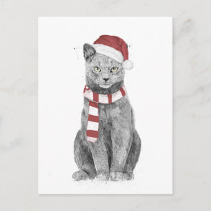 Xmas-Katze Postkarte