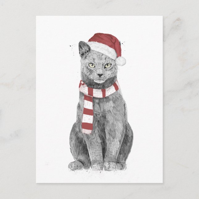 Xmas-Katze Postkarte (Vorderseite)