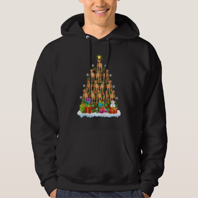 Xmas Light Santa Chesapeake Bay Retriever Dog Chri Hoodie (Vorderseite)