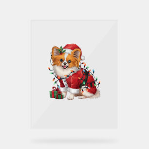 Xmas Lighting Santa Papillon Dog Weihnachten Acrylschild