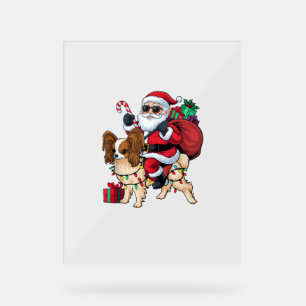 Xmas Lighting Santa Riding Papillon Weihnachten Acrylschild