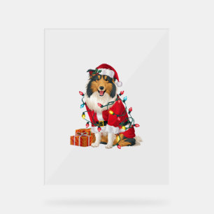 Xmas Lighting Santa Rough Collie Dog Weihnachten Acrylschild