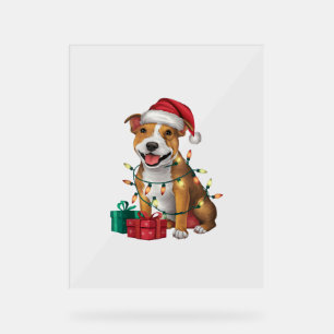 Xmas Lighting Santa Staffordshire Bull Terrier Dog Acrylschild