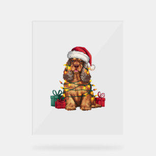 Xmas Lighting Weihnachtsmannmütze Cocker Spaniel D Acrylschild
