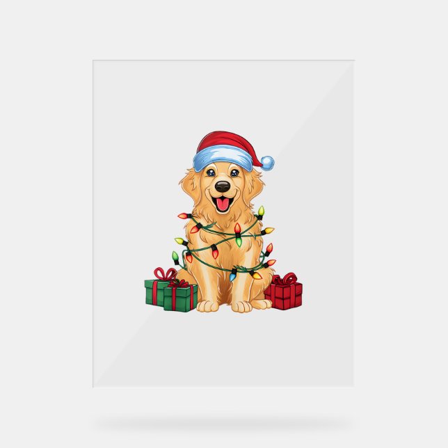 Xmas Lighting Weihnachtsmannmütze Golden Retriever Acrylschild (Vorderseite)