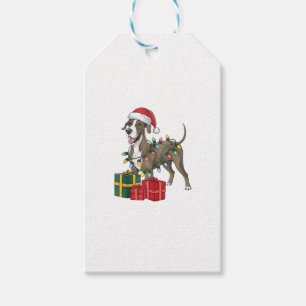 Xmas Lighting Weihnachtsmannmütze Great Dane Dog W Geschenkanhänger