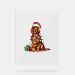 Xmas Lighting Weihnachtsmannmütze Irish Setter Dog Acrylschild