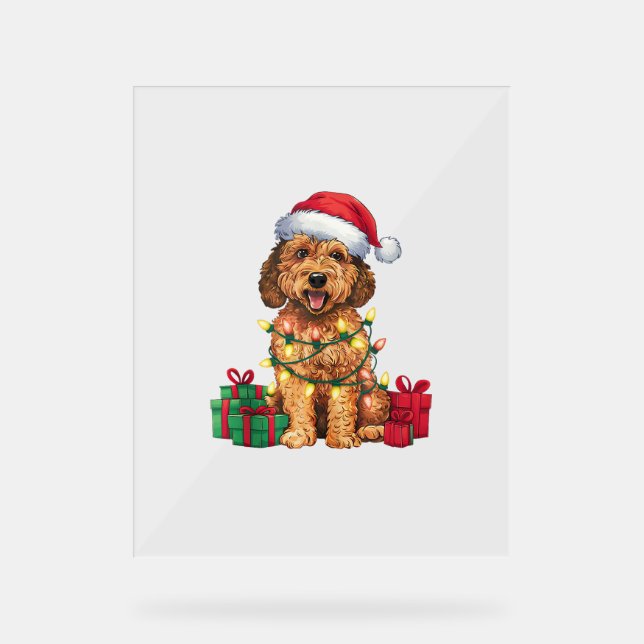 Xmas Lighting Weihnachtsmannmütze Labradoodle Dog  Acrylschild (Vorderseite)