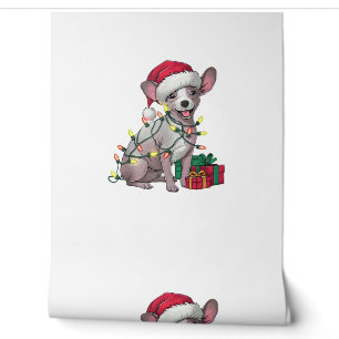 Xmas Lighting Weihnachtsmannmütze Mexican Hairless Tapete