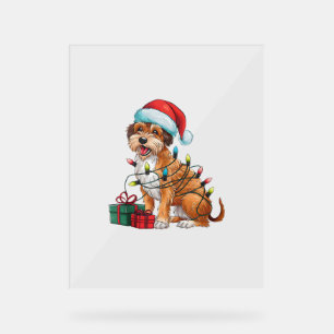 Xmas Lights Santa Drahthaar Pointing Griffon Dog Acrylschild
