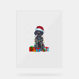 Xmas Lights Santa German Kurzhaarige Pointer Dog C Acrylschild