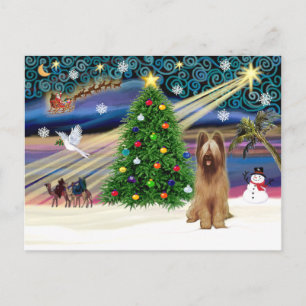 Xmas Magic-Briard-Fawn Feiertagspostkarte