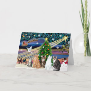 Xmas Magic - Fünf Katzen (AmSH) Feiertagskarte