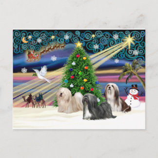 Xmas Magic-Lhasa Apso-Trio Feiertagspostkarte
