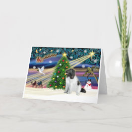 Xmas Magic-Newfie-Landseersit Feiertagskarte