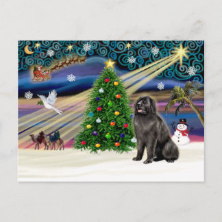 Xmas Magic-Newfie-Schwarz Feiertagspostkarte